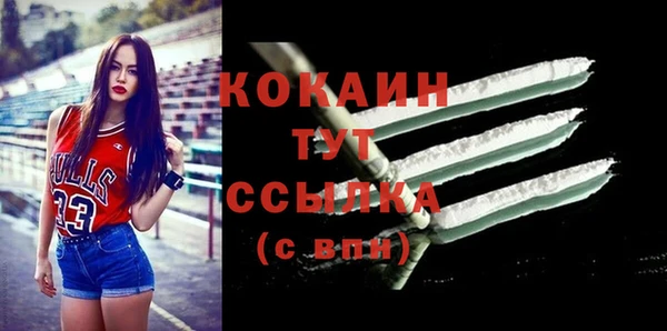 дурь Шадринск