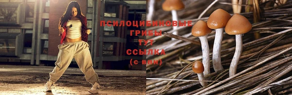jwh Карпинск
