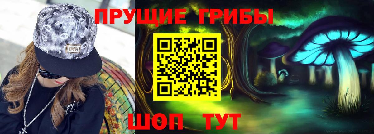 Лобня  Псилоцибиновые грибы Cubensis  где купить   Вход с VPN 